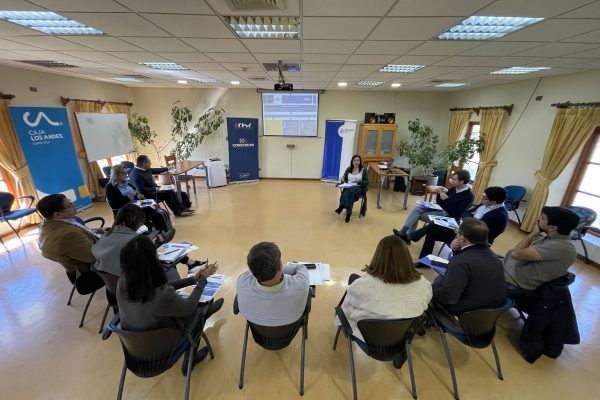 Consejos Asesores Empresariales de la Macrozona Sur inician coordinación del Programa Construyo Mi Futuro